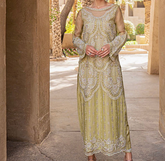 Fancy party wear